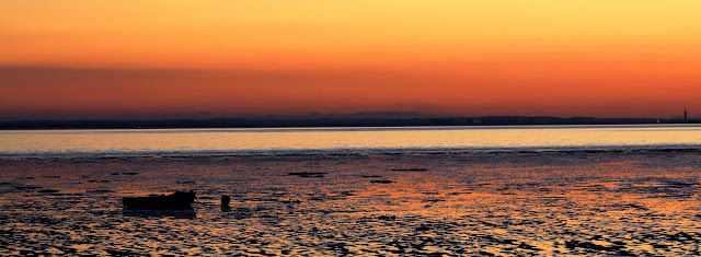 Spurn