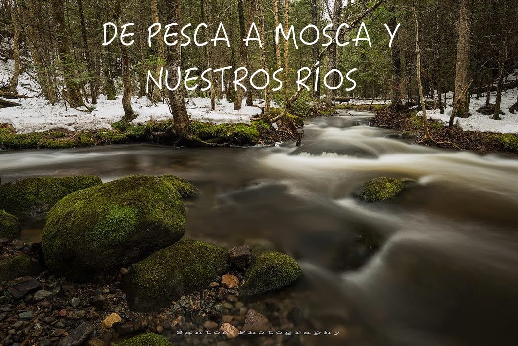 DE PESCA A MOSCA Y NUESTROS RIOS