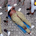 Female Corper knocked down by reckless Danfo driver in Lagos dies