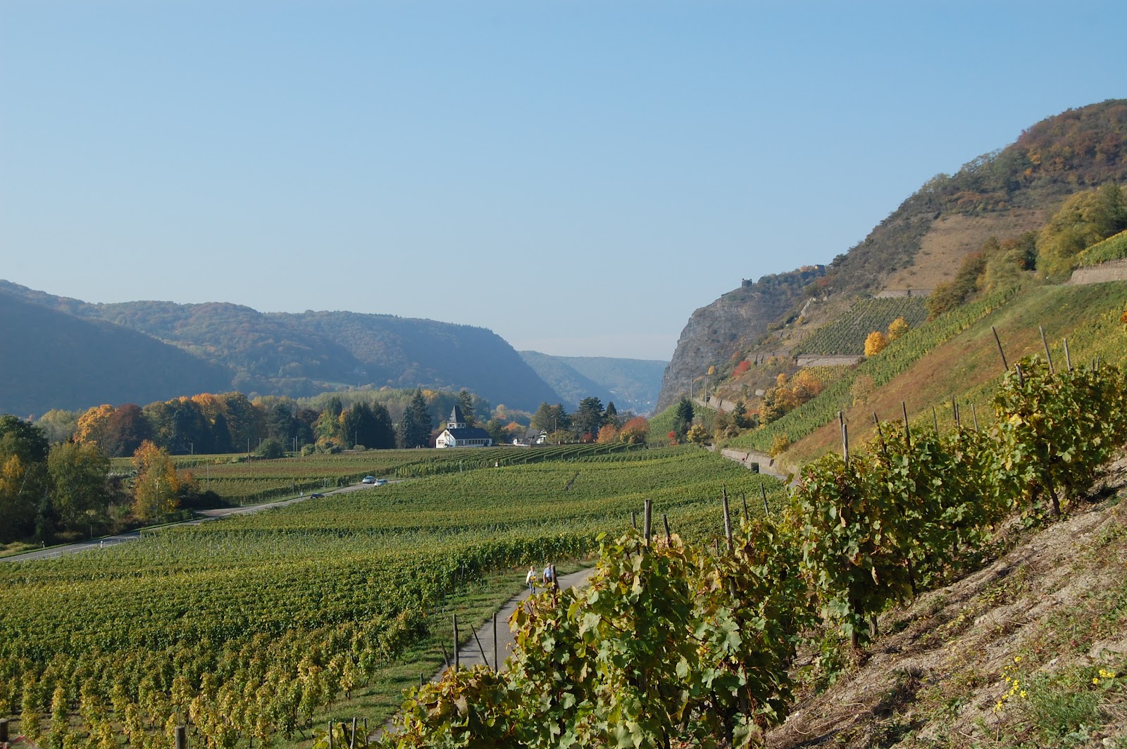 Weinbruderschaft MittelrheinSiebengebirge Hammerstein