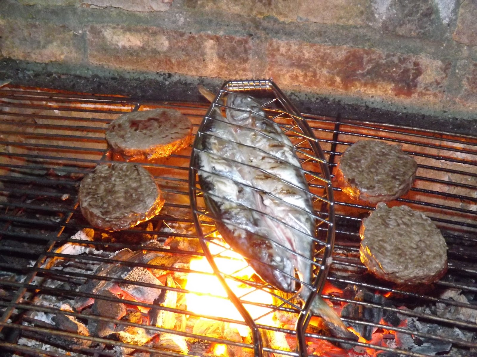 Me and my shadow Where do fish come from?