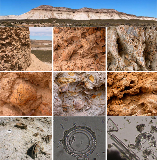 NephiCode The Rising of South America—Part III