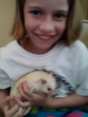 Pets in the Classroom, Hedgehogs Visit, The Schroeder Page