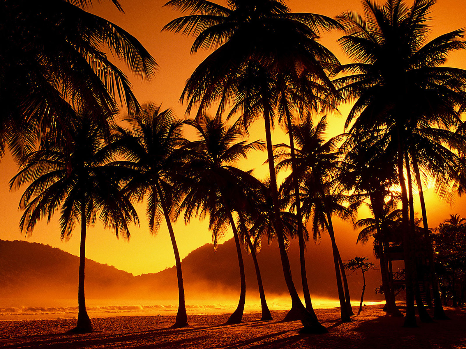 Banco de Imágenes Gratis 25 imágenes selectas de nuestras mejores Banco de Imágenes Gratis 25 imágenes selectas de nuestras mejores