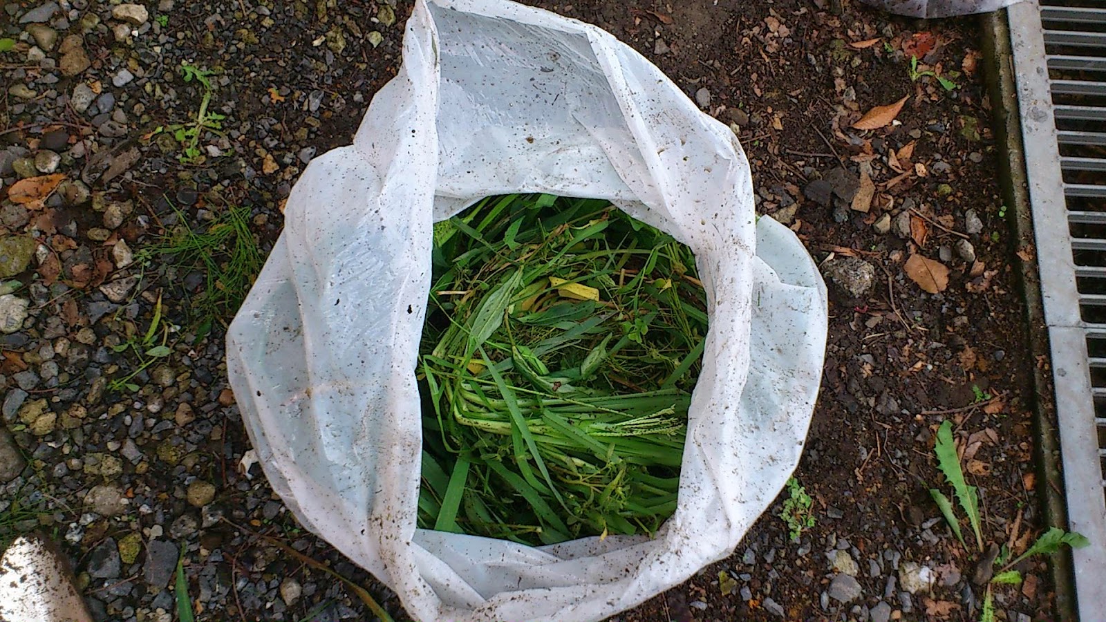 ごみ袋方式での簡易堆肥の作り方 Kitchengarden