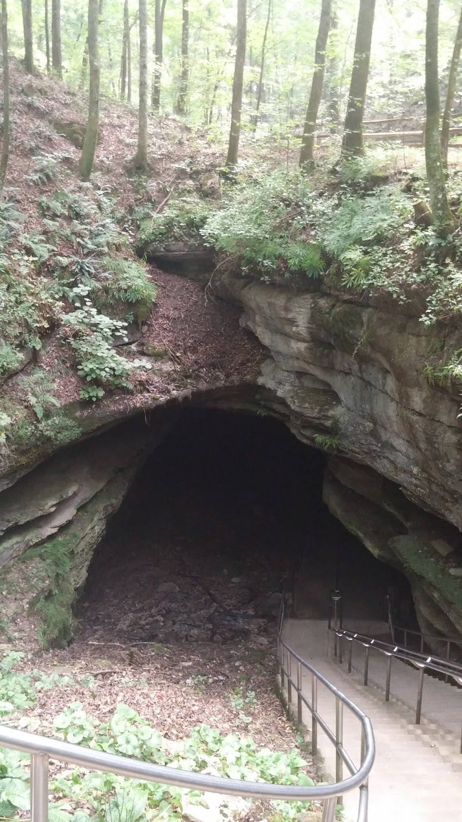 Where in the USA RV? Cave City, Kentucky