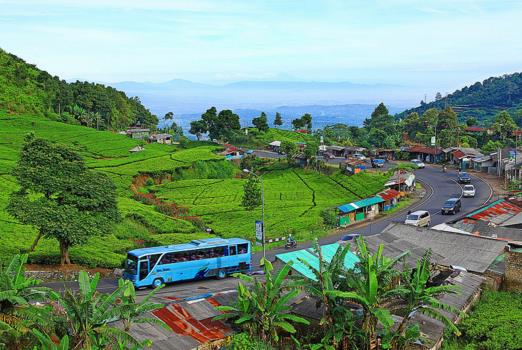 Hari Biasa Waktu Yang Pas Berwisata Kepuncak Bogor Hari Biasa Waktu Yang Pas Berwisata Kepuncak Bogor