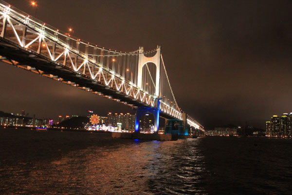 Semiye's environment, plants, alternative media stories.: Busan 'new