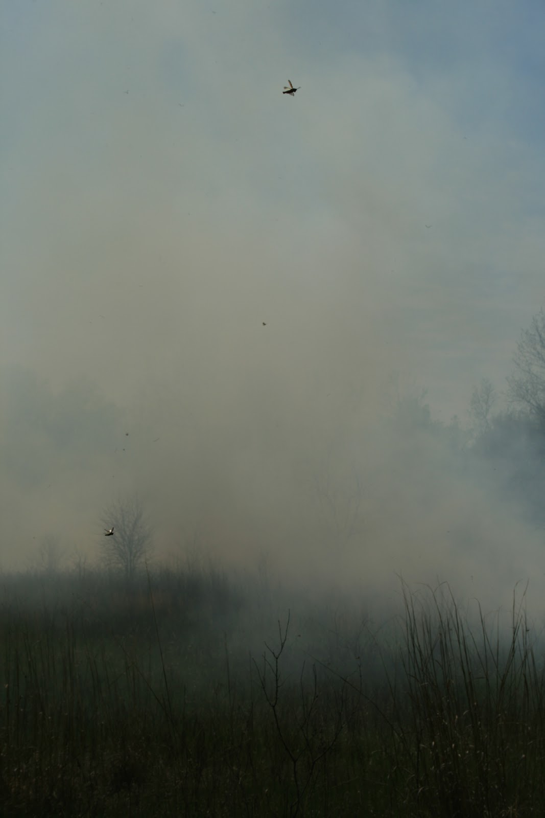 Grassland Heritage Foundation