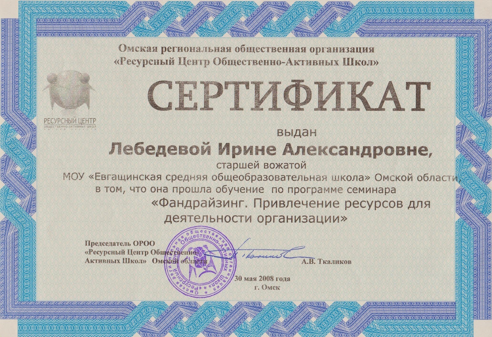 сертификат школы вожатых.