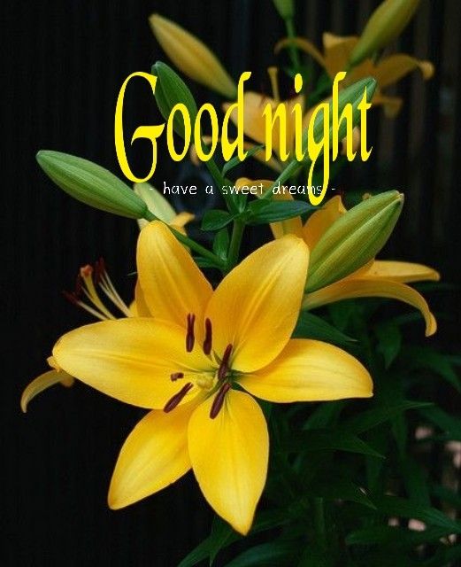 good night images 3d