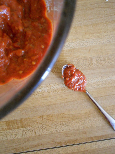 A close up on a spoonful of tomato sauce sitting next to a blender of sauce.