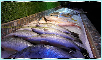Ikan-ikan segar untuk dipilih dan untuk dimasak Ikan-ikan segar untuk dipilih dan untuk dimasak