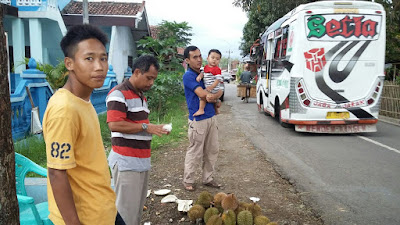 Musim hujan datang, Musim durian banjiri Kota Pituruh
