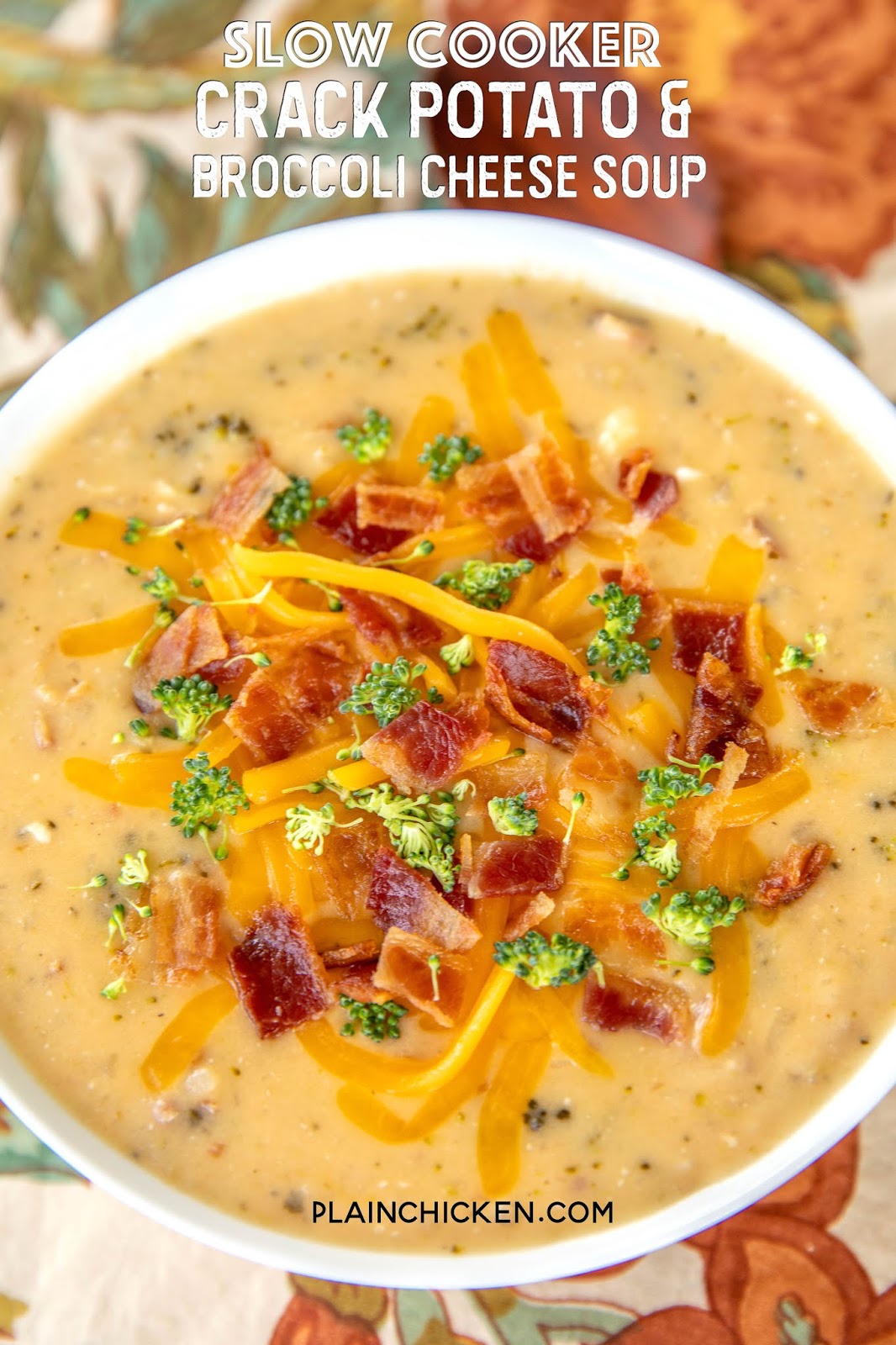 Slow Cooker Crack Potato and Broccoli Cheese Soup Plain Chicken®