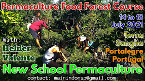 PFC Permaculture Forest Course 2021