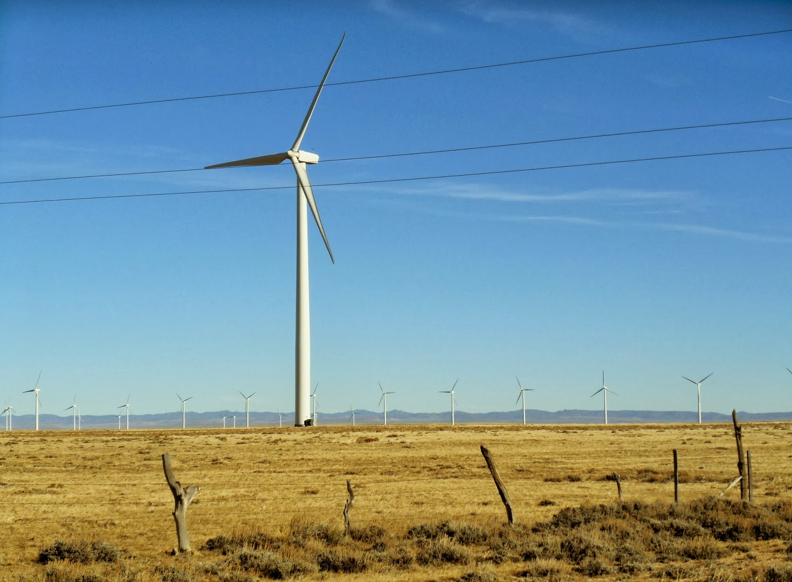 Ветряные мельницы в ростовской области. Вэс владивосток. Ветрогенератор 5 квт. Ветрогенератор condor air 380. Ветрогенератор лотус 5квт.