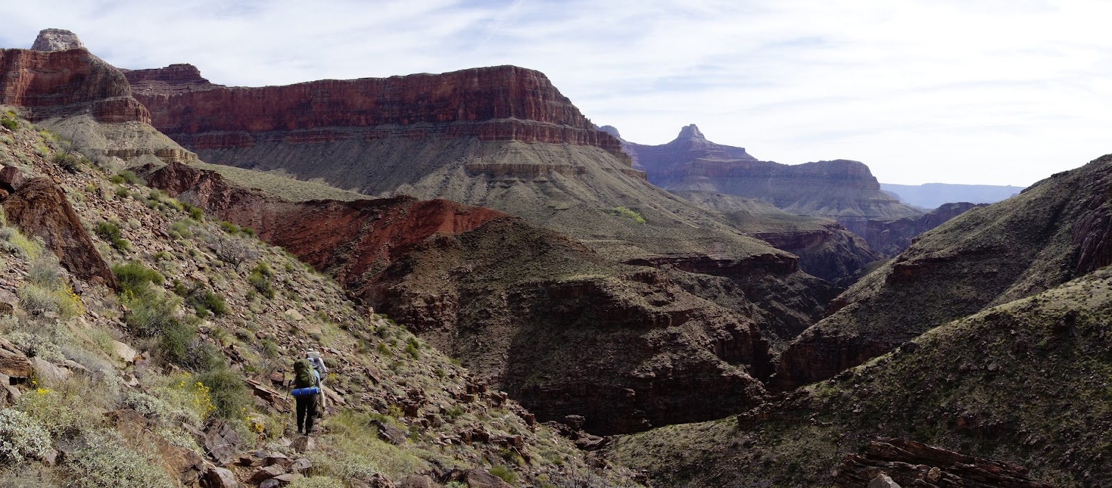 Saumya's Hiking Trips: Grand Canyon (Utah Flats/Phantom Canyon): March 2016