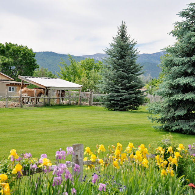 Holly Brooke Jones Spring City Utah