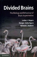 Illustration of a group of Flamingos; these birds turn their neck to the left or right when resting and the direction of this predicts their level of aggression.