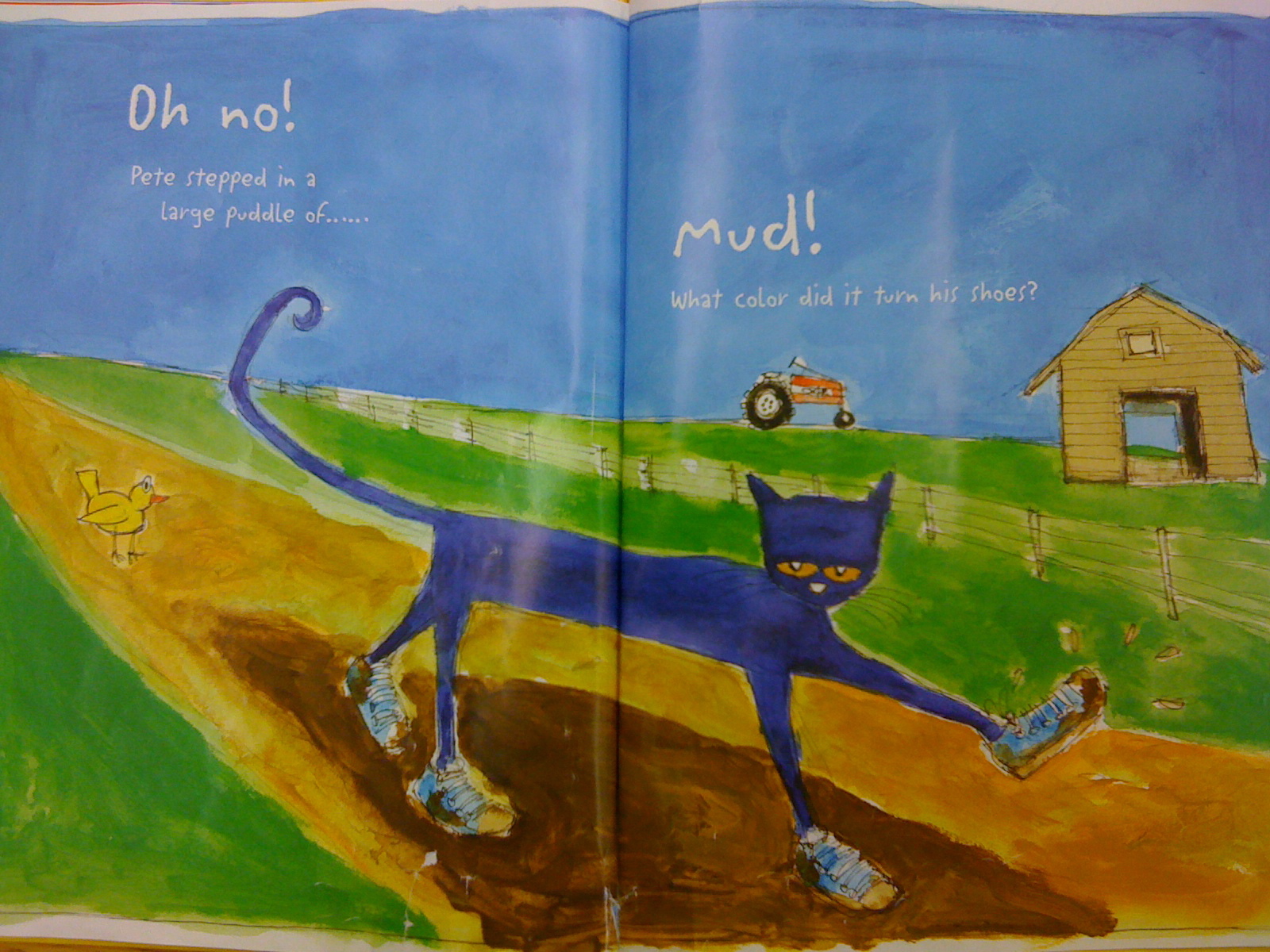 How to A Cat Lady... Without the Cats Bullshit Day 16 of 30 Days of Photographs III