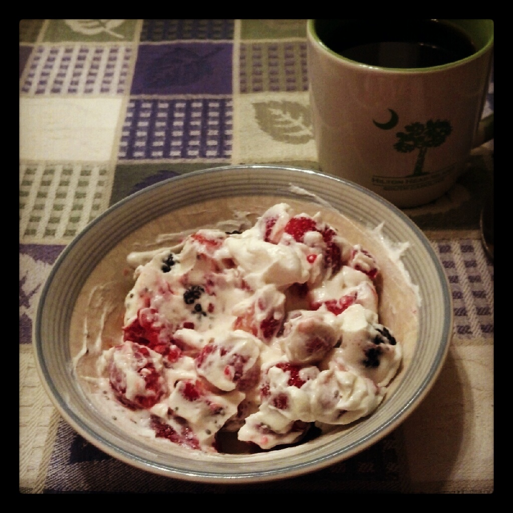 Fit&FruGirl Cheesecake Greek Yogurt