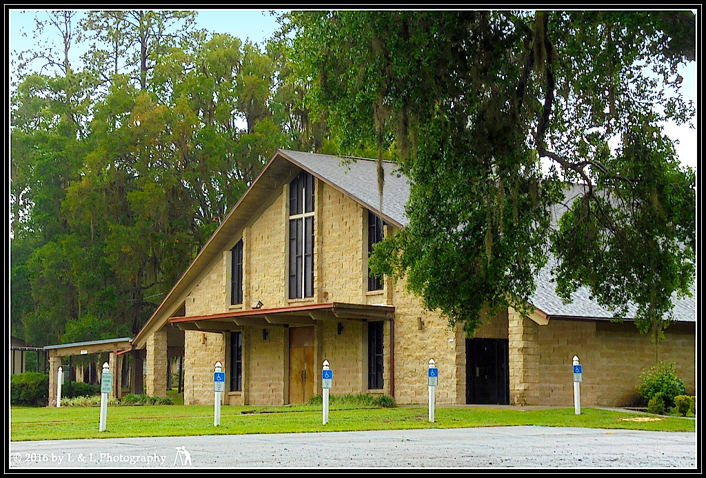 Florida Fotos 6/19/16 6/26/16