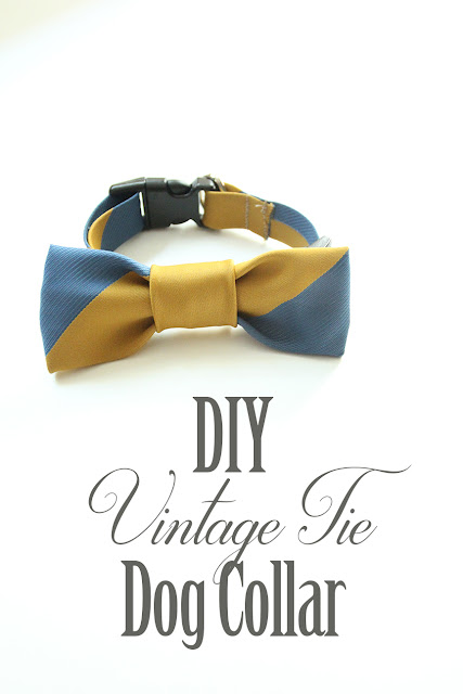 DIY Vintage Bow Tie Dog Collar
