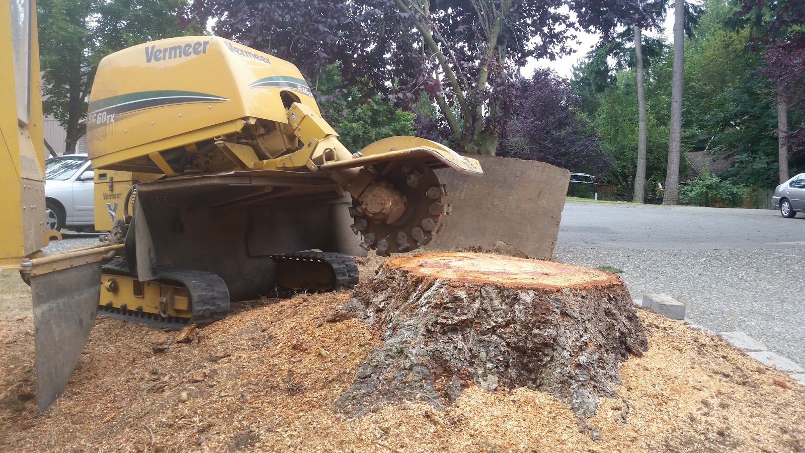 Brads Stump and Tree Service Arlington, Washington Stump Removal and