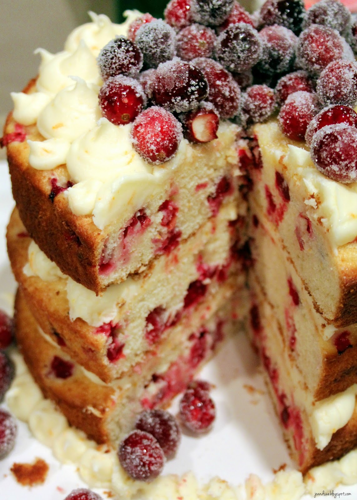 Jo and Sue Orange Cranberry Cake