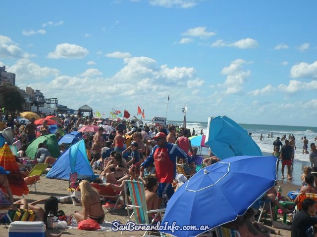 pronostico san bernardo