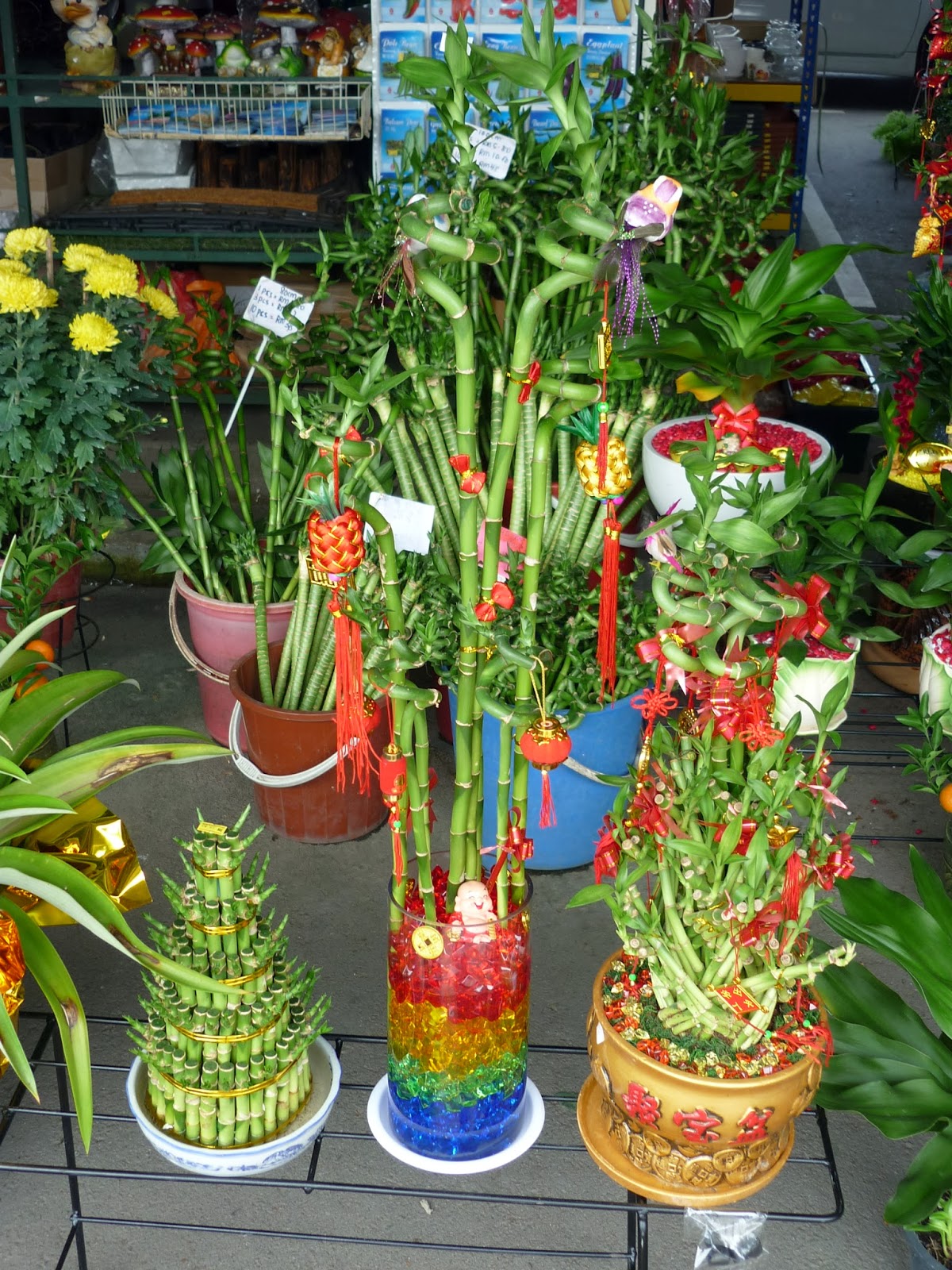 david 3816 Chinese New Year 2014