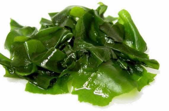 Tratamientos de Belleza con Algas