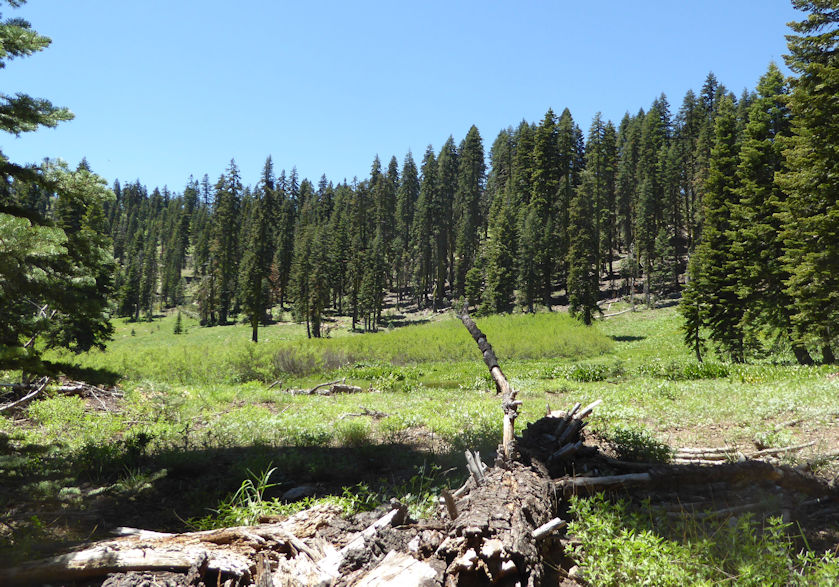 Official Quiet Warrior Racing Blog Plumas Backcountry Adventure Trail