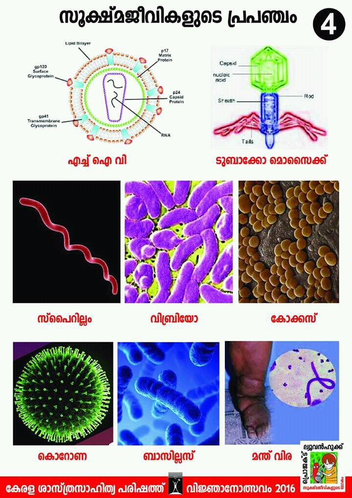 mentors kerala STANDARD 6 BASIC SCIENCE യൂണിറ്റ് 1
