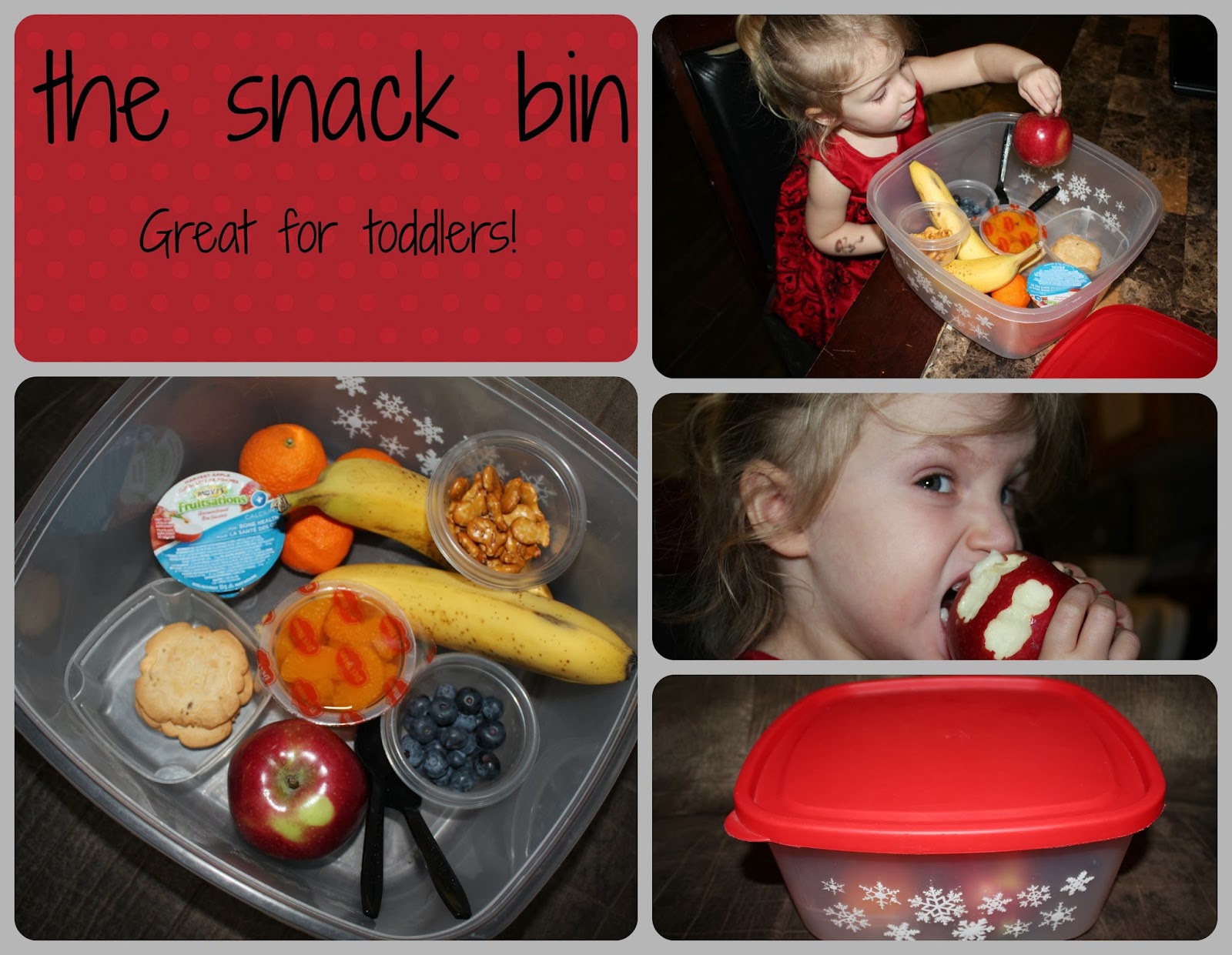 Annie's Adventures In Homeschooling! Setting up a "snack bin"!