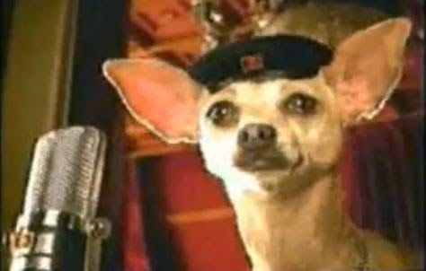 Mighty Taco Dog Food Mighty Taco Dog Food