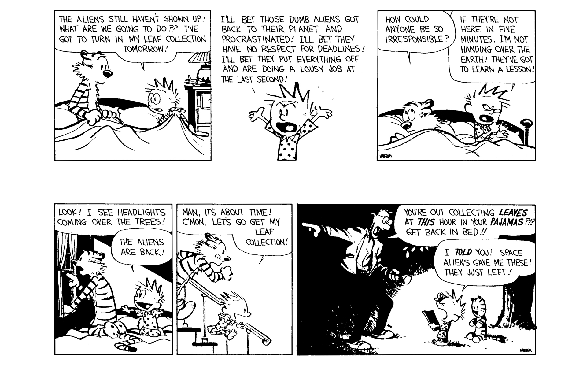 Read online Calvin and Hobbes comic -  Issue #11 - 119