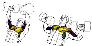 Pectorales Flacidos Ejercicios Para Quemar Grasa Pectoral Hombres