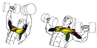 Eliminar grasa del pectoral