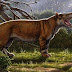 New Species of Giant Fossil Carnivore Found in Kenya