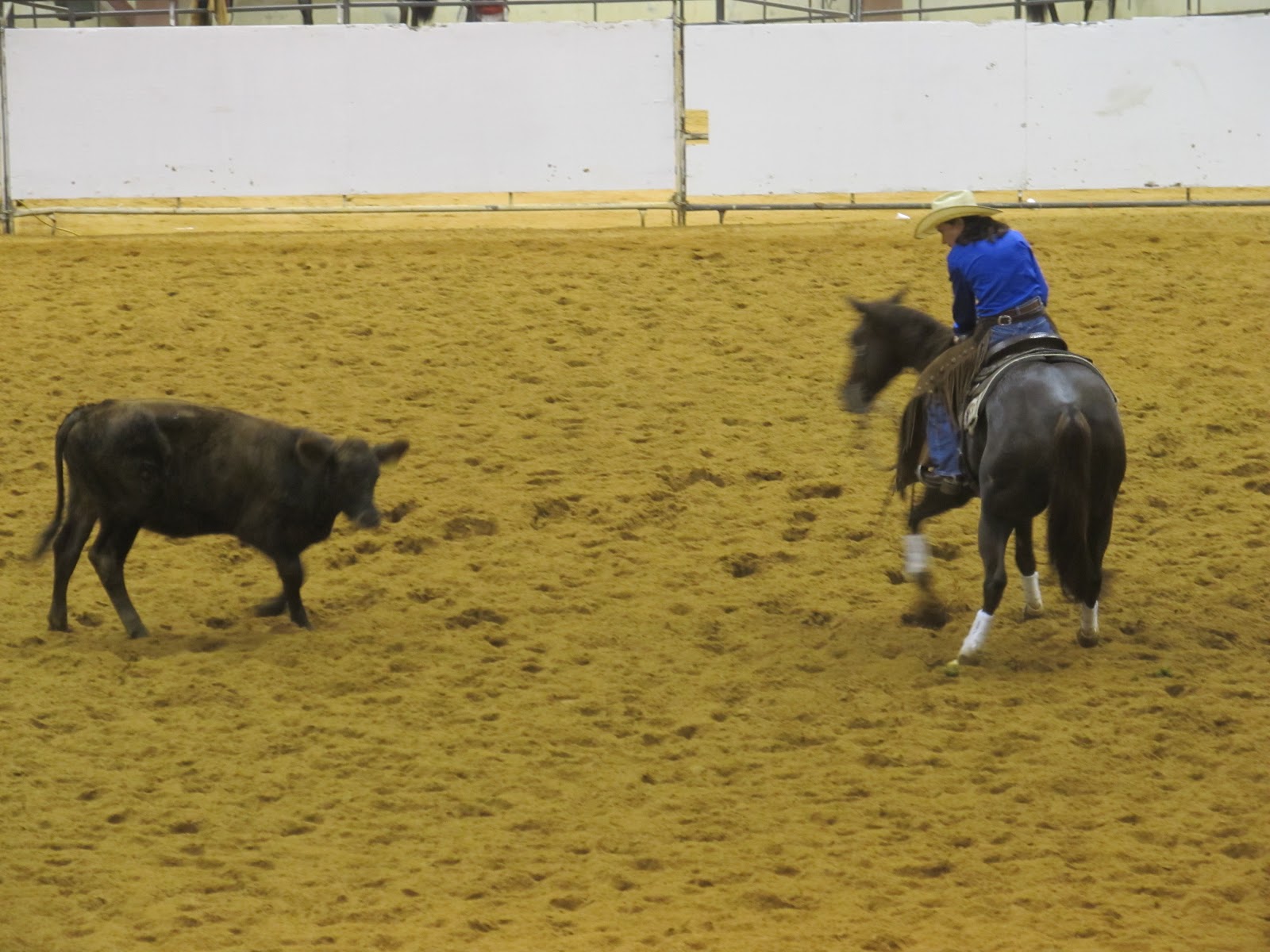 PrunePicker Cutting Horse Competition.
