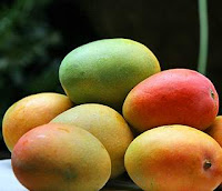Gas etilen berperan penting pada pematangan buah seperti pada Gambar buah mangga yang matang ini