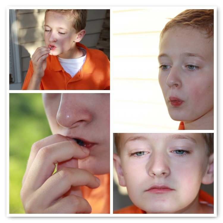 Feel LOVD Everyday How to Eat Concord Grapes