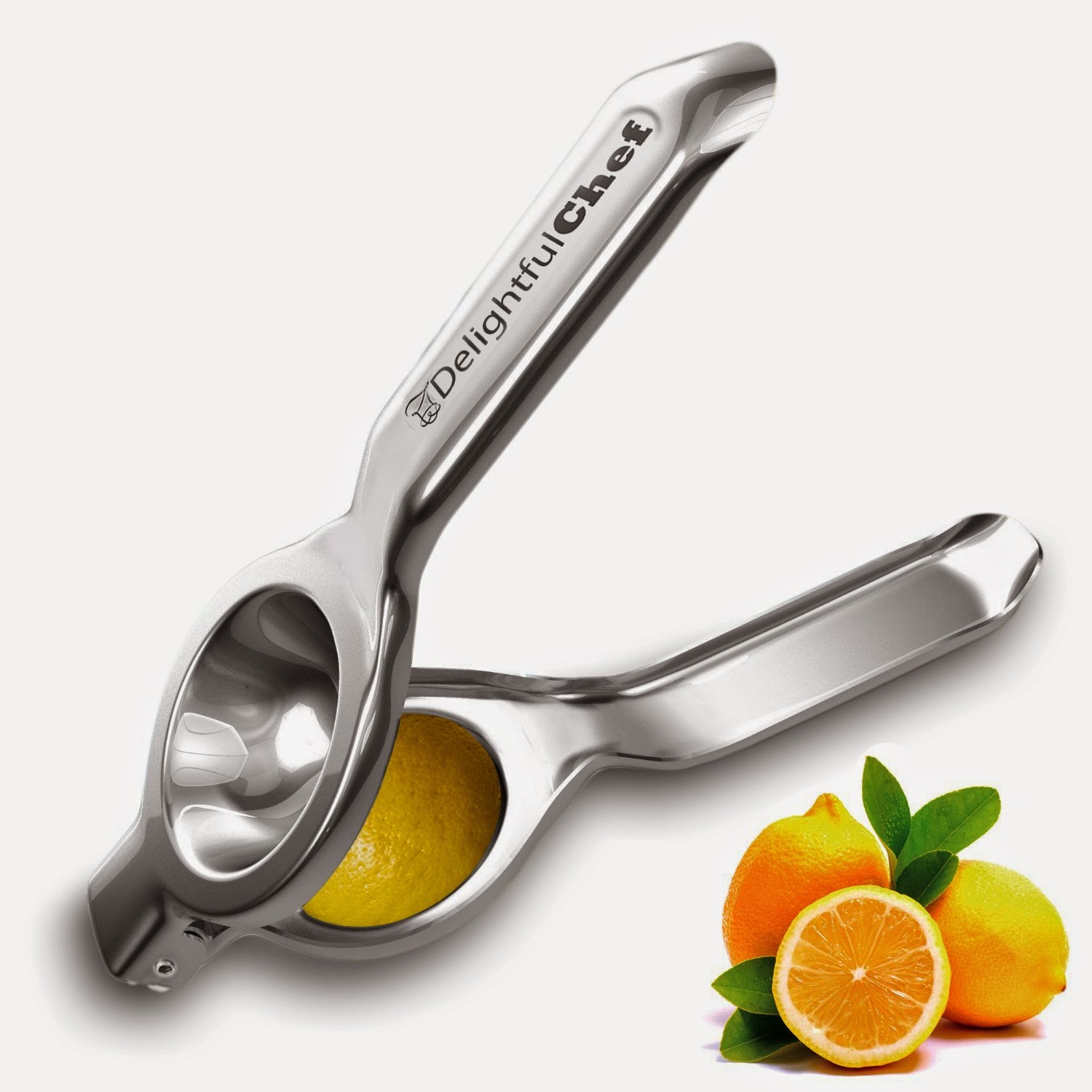 With Open Eyes To See Lime Lemon Squeezer Stainless Steel