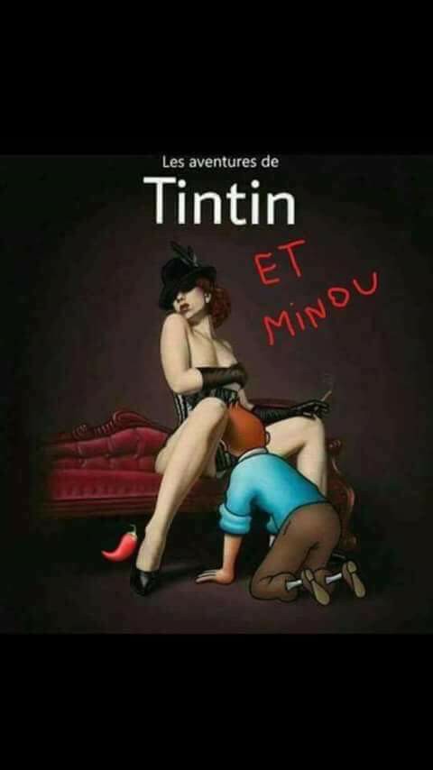humour en images II - Page 15 Tintin%2Bet%2BMinou%2BAlain%2BCunni