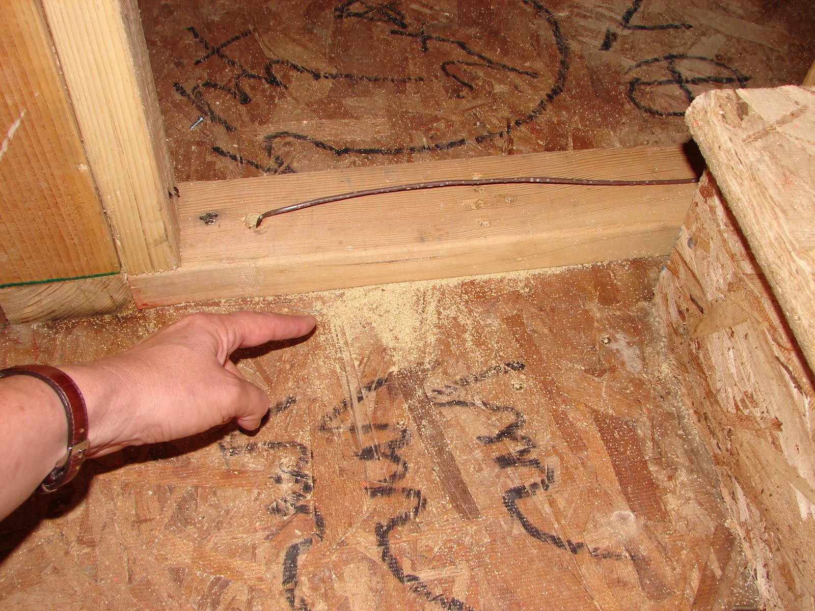 Local Fruit: Lumber Mold