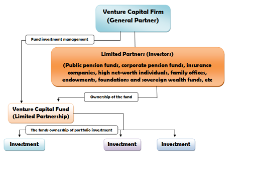 How does a Venture Capital firm work?