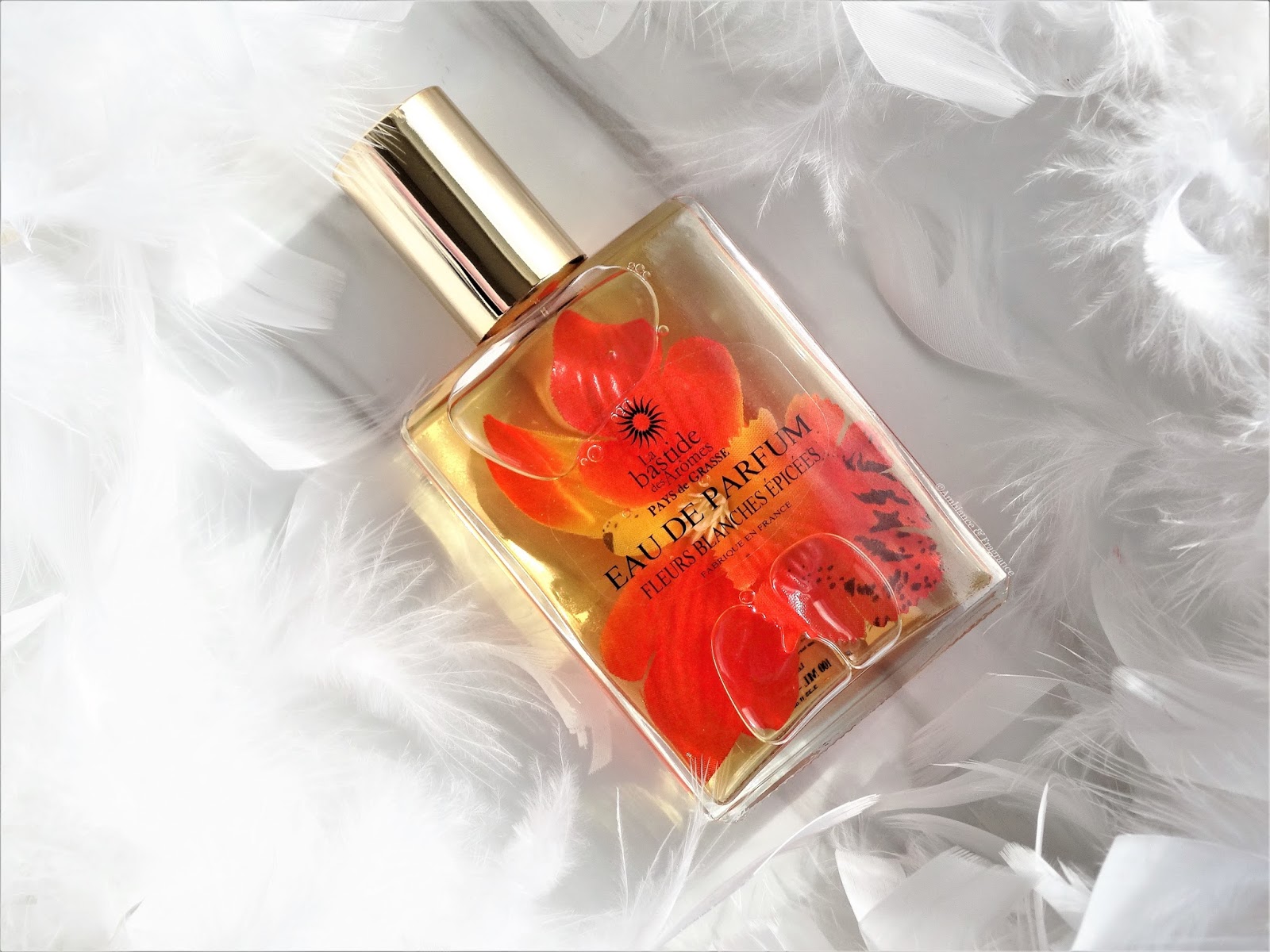 Jphim Photos Fleur Printaniere