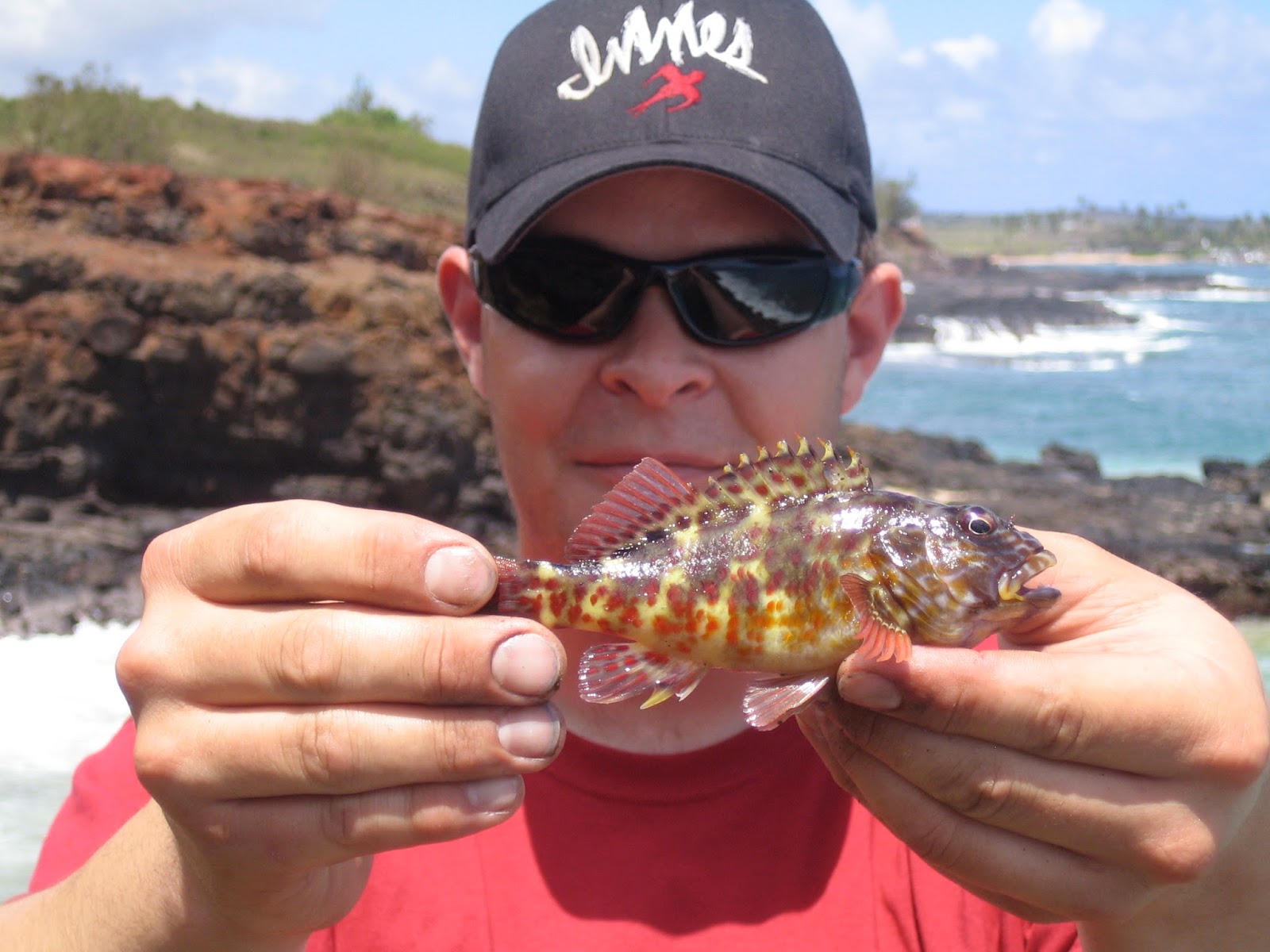 Spotted Coral Blenny & Hawaiian Black Triggerfish July 29 2005 catch some fish